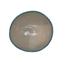 Saladier Myrtilles